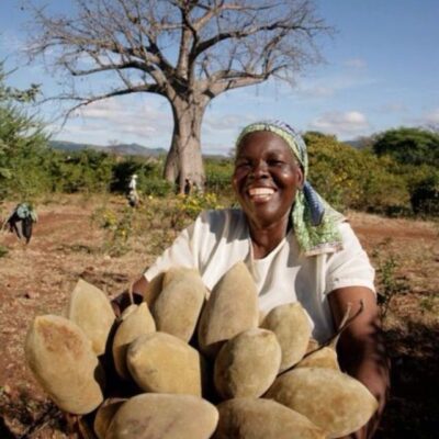 Mucúa: O Superalimento Africano