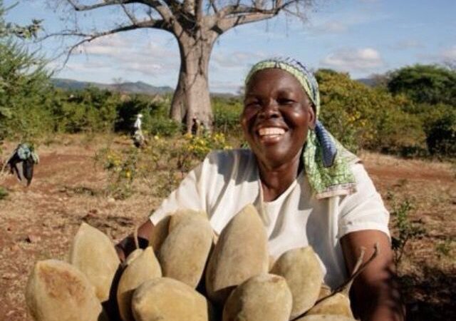 Mucúa: O Superalimento Africano