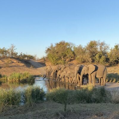 Alerta Climático: A Seca Implacável na Savana